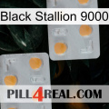 Black Stallion 9000 25